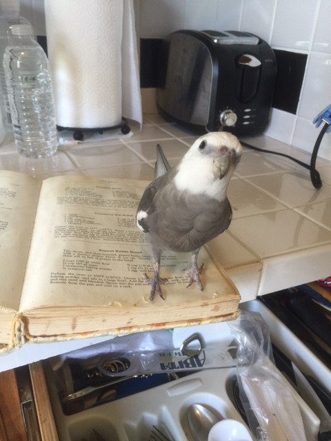 Uh oh. Hey Mom, watcha doin?"