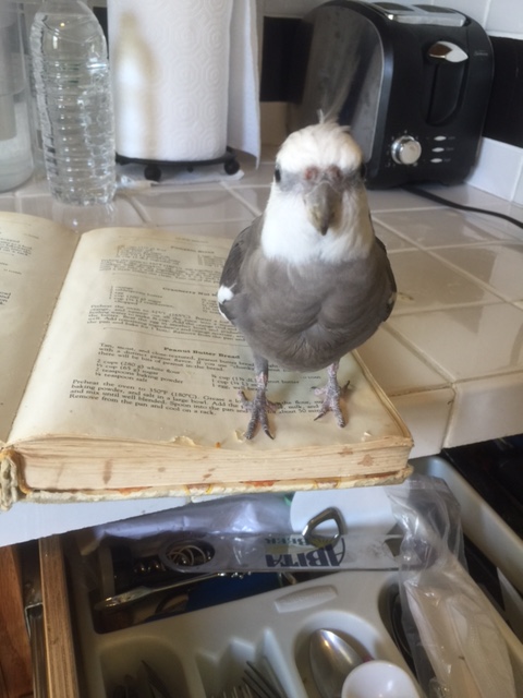 Well, yes, I did test-chew a few of the pages as part of its prop interview....