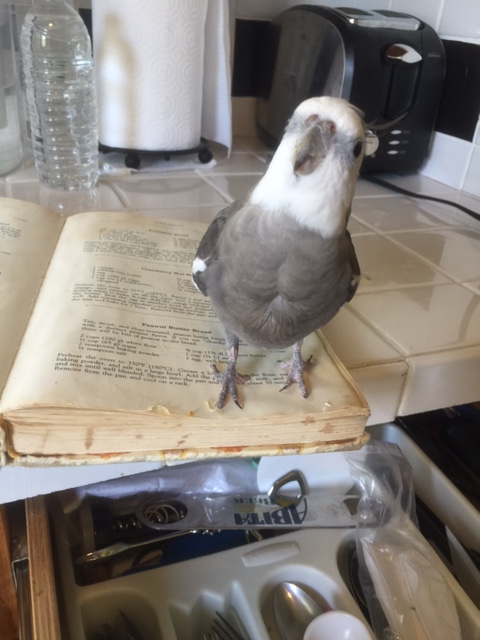 A spot just opened up? Oh, that is great news!!