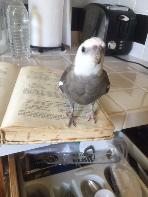 Do you think there is room on my calendar today for a modeling shoot?