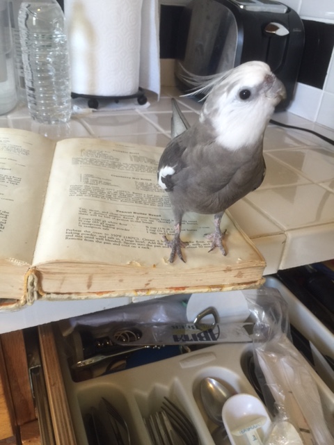 "Cooking?" Oh. Um. Er. Well....