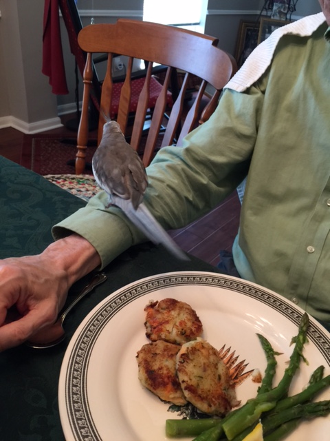 Well that was tasty. Now I must retrace my steps and make my ascent back to my high perch on the Tall Tree.