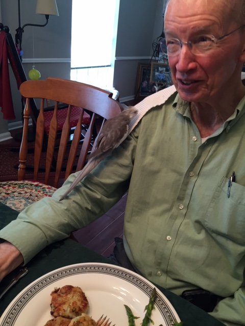 Now I will use my sharp talons and curved beak to skillfully navigate to my exact former place.