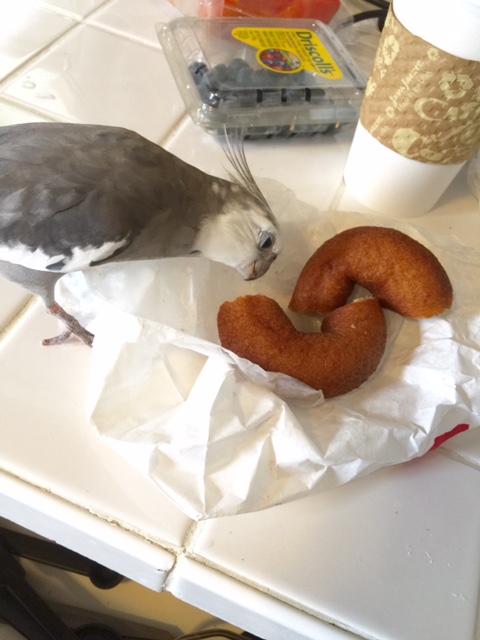 With such an intriguing gourmet presentation, you'd almost think I chose it instead of her!