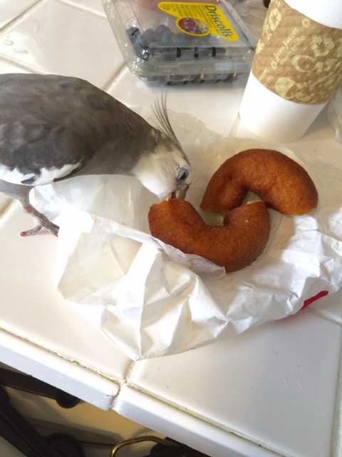 But I knew she would eventually have to step away, and that would be my chance.