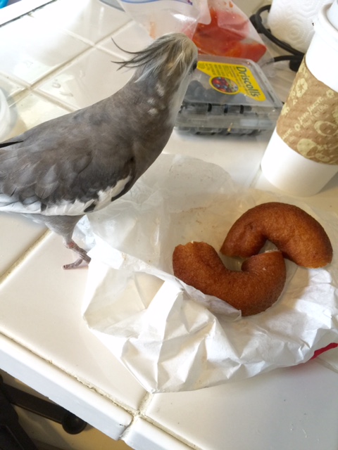 It sure tastes much better than those small round blue things she tried to get me to try earlier. Blech.