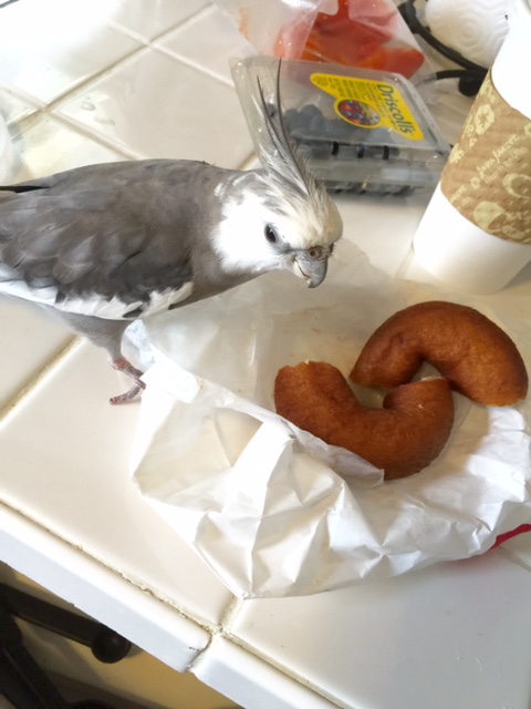 Oh boy, here she comes now.