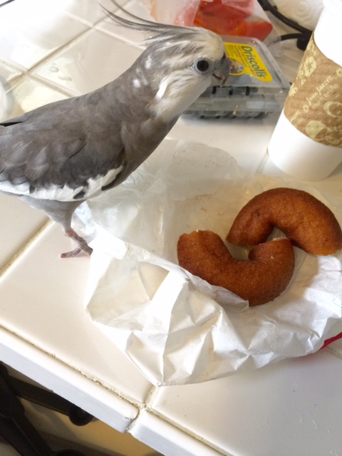 Well for goodness sake. You'd think this item was made of waffles, the way Mom has been guarding it!