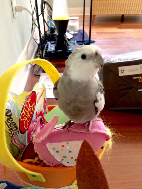 I look even cuter when you take the photos from over there? I doubt it, but anything to get this party started!