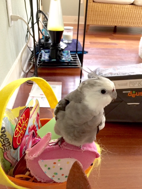 NOW where are you going?