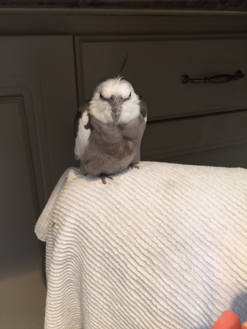 Okay, Mom, there you are - yes, we're ready to begin.