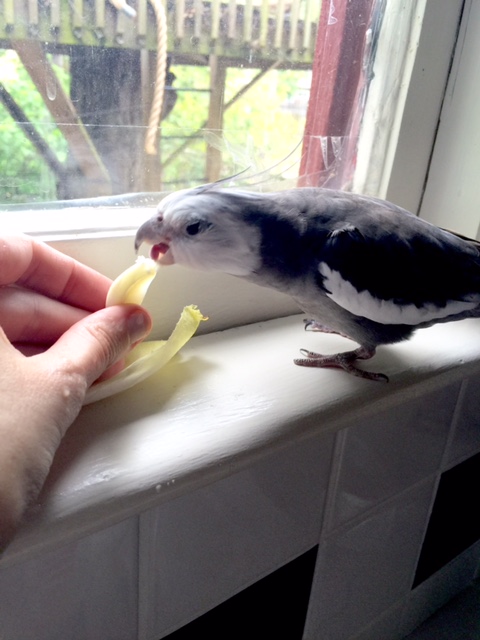 Ahhh - perfect. Serving this dish up "handfed" really hits the spot.