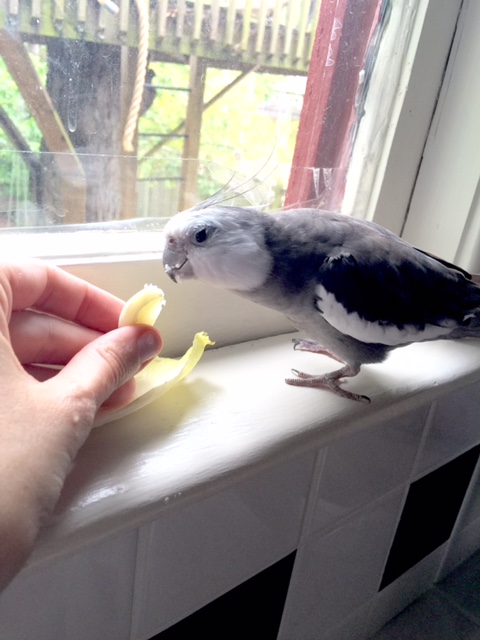 More? Sure - I have room to have some more!