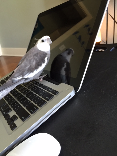 Now listen (whispering) this is top secret but I'm really .007, super spy.