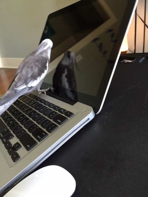 Well you don't say! That does sound like a very boring document indeed - and she worked on it for hours?