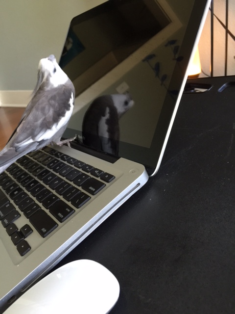 It's a good thing I came along when I did to redirect her attention!