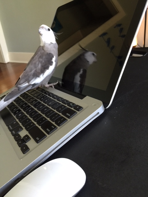 Speaking of which.....