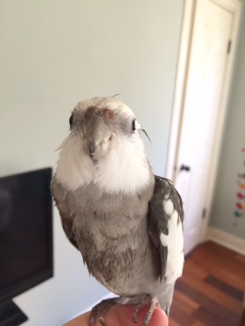 Well, when you put it that way....