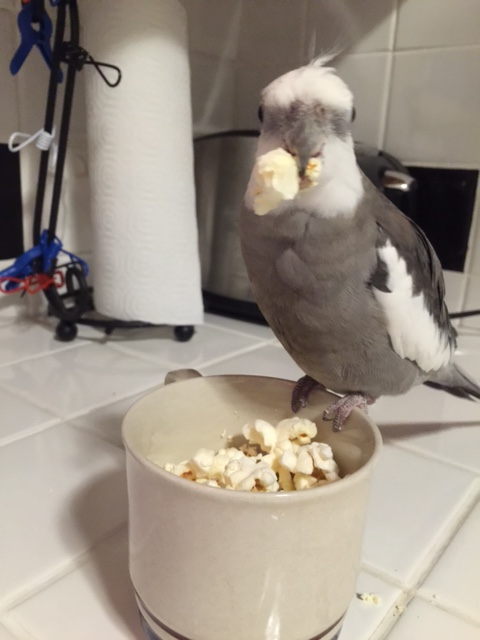 Let this be a warning to the rest of you....!