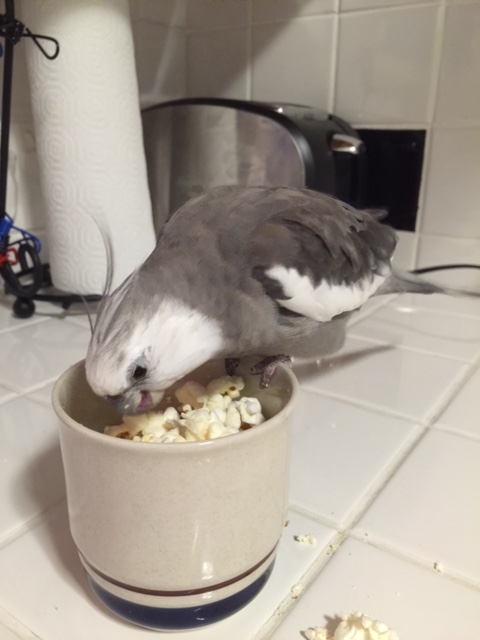 It all looks so good - I can't decide where to start.