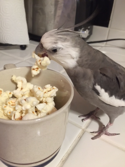 Not that it matters. If I say you're going to be my delicious snack, you're going to be my delicious snack.