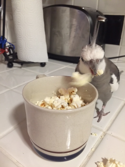 Yah - that's right, sucka! You can't escape the clutches of .007, super-secret spy!