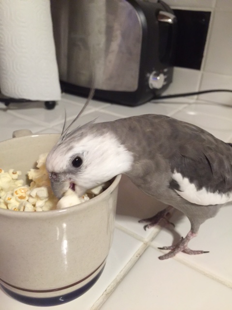 Oh there you are, Mom. 