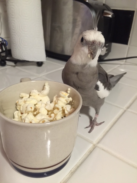 Mom? How much time did you spend screening today's snack candidates? 