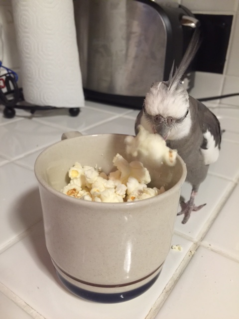 Not a lot of time, if I had to guess.