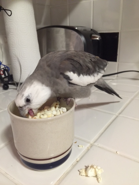 I think I'll start with this morsel over here. HI-YAA!