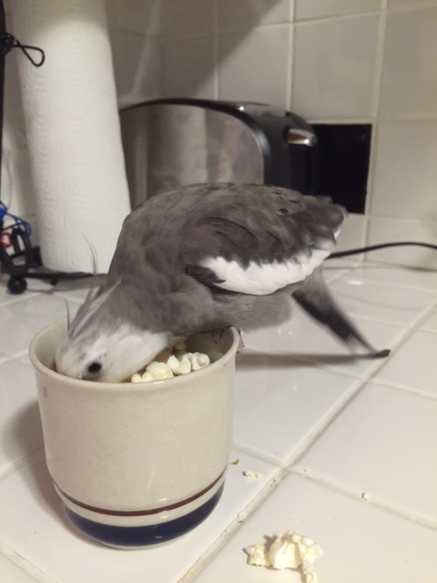 Oh no you don't.....just try escaping and see what happens....!