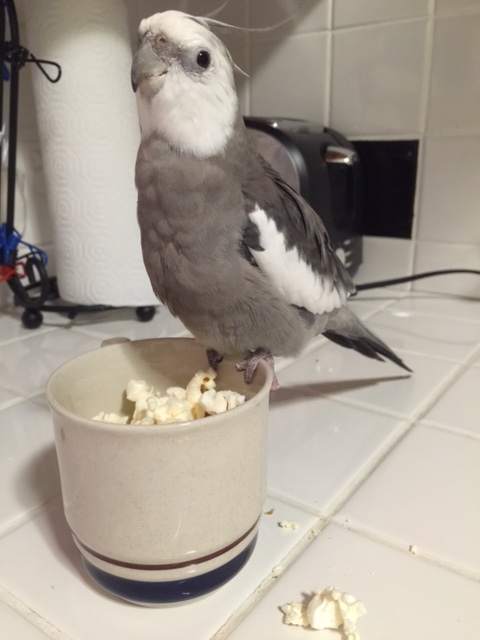 Boy, this looks scrumptious. Thanks Mom!