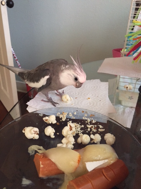 Here again, a courtly bow and introductions announce your selection.