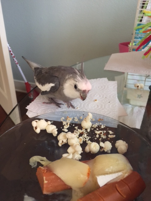 And a proper formal introduction.