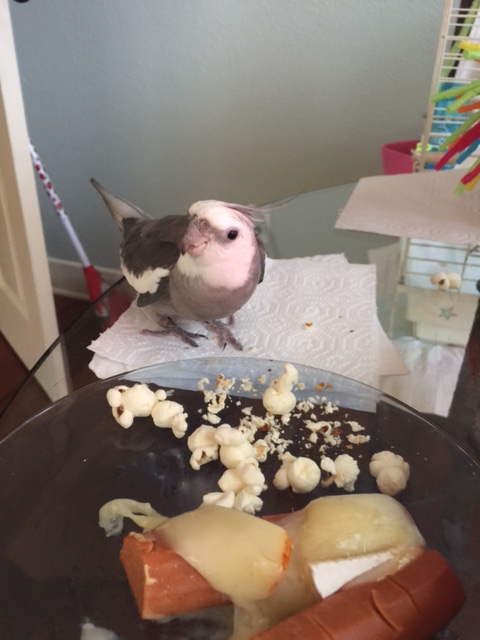 This continues, until a final gracious bow (or at least as gracious as your full belly will allow) lets unmatched partners know the dance is concluded for that meal.