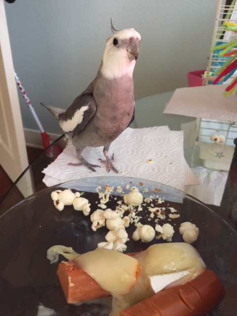 Upon your return, it is time to select your first dance partner.