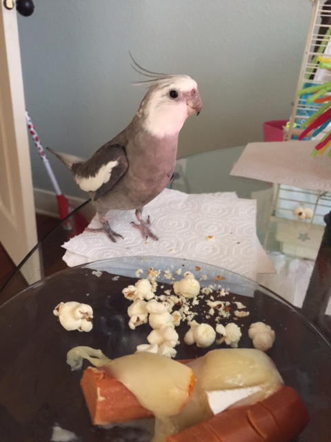 After saying (burp) goodbye to your first dance partner, you can now choose a second partner.