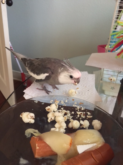 If your new partner doesn't quite make the leap, you can meet them halfway to help them into your open beak.