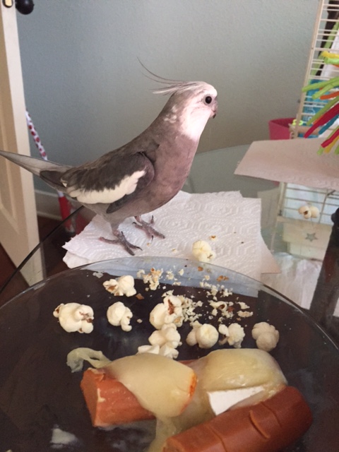 For dancers whose tummies are grumbling audibly, the dance permits a polite turning away at this point.