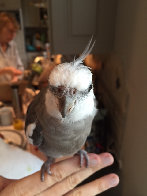 Okay, no where was I...?