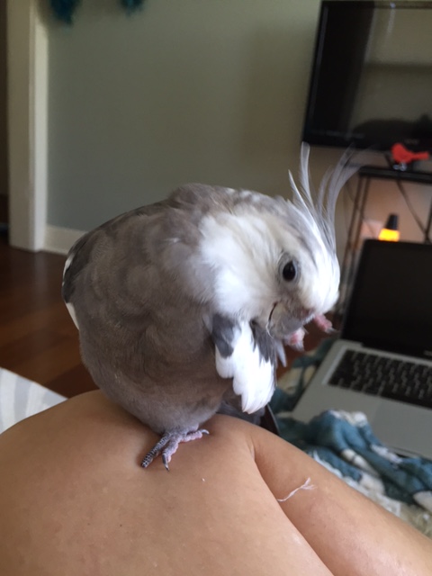 Yup - all eyes still glazed over with "cuteness overload." Perfect.