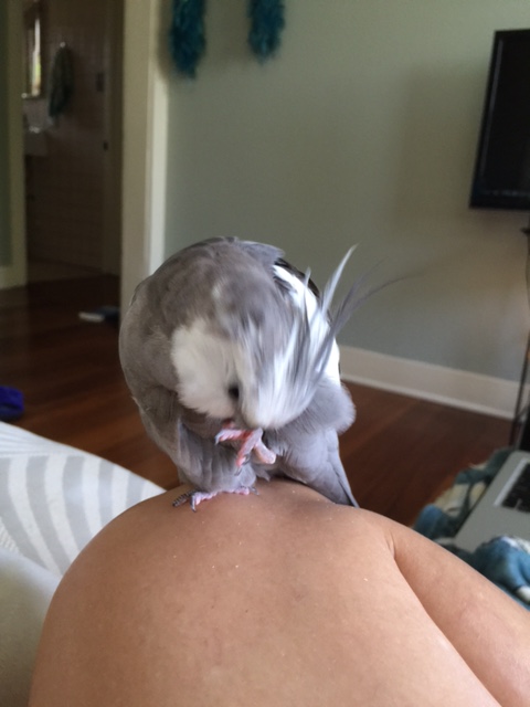 Slowly, I will begin inching my way towards "strike mode."