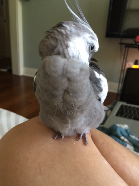 I'll just start with a brief warm-up.