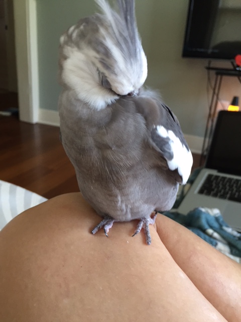 A few neck rolls (while looking very cute)...
