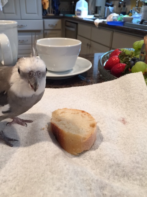 Oh hi Mom. This was yours? Sounds like a perfect time for my musical rendition of "finders keepers".....