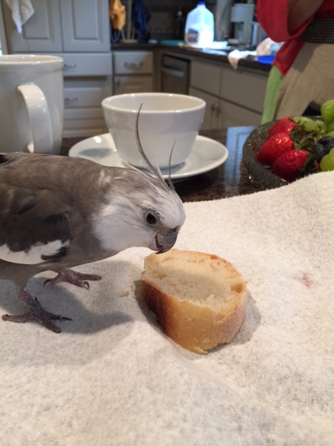 "Found" dishes always taste the best.