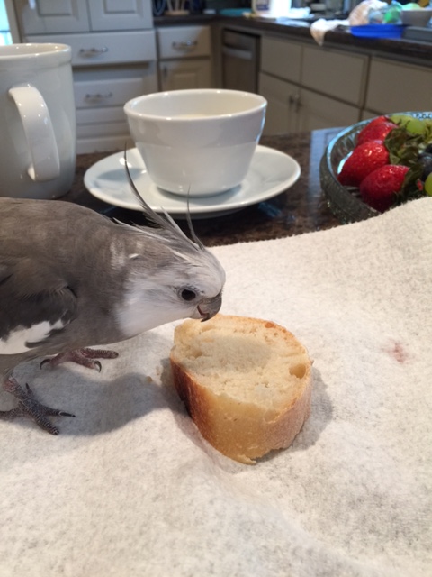 Yup. The lurker is gone. Works every time.