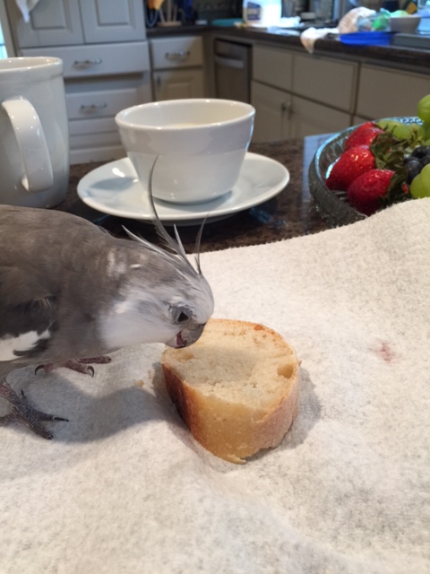 Kind of creepy though....how its former owner keeps lurking nearby...