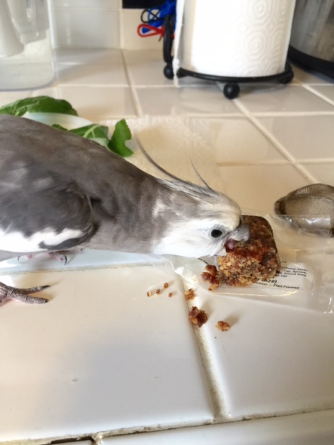 A free sample? Well that is very kind - I believe I will!