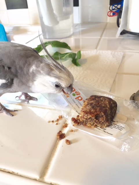 Why hello there! I don't believe we've met! My name is....um, uh - what's your name?